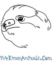 Print tutorial click image for bigger. How To Draw A Sloth Head