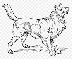 For dog coloring page 15 images found by accurate search and more added by similar match. Collie Dog Clipart Collie Dog Coloring Pages Hd Png Download 2500x1948 3525598 Pngfind
