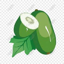 Autumn Crop Vegetable Winter Melon Illustration Png Image Picture Free Download 611233723 Lovepik Com Top free images & vectors for winter melon in png, vector, file, black and white, logo, clipart, cartoon and transparent. autumn crop vegetable winter melon
