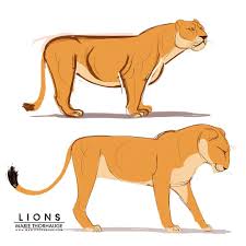 1024 x 768 jpeg 85 кб. Drawing Lioness Cartoon Peepsburgh