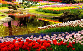 Image result for free images of gardens