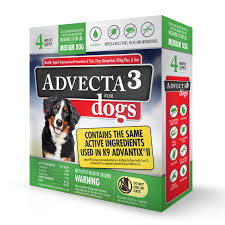 Advecta 3 Tick Flea And Mosquito Repellent And Treatment For Medium Dogs 4 Monthly Doses From Walmart In Austin Tx Burpy Com