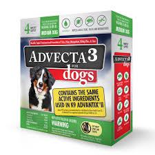 Puppies are sometimes even born with with puppy worm infestation. Walmart Dog Flea Medicine Off 63 Www Usushimd Com
