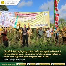 Kemampuan dalam menyerap informasi dan mengadopsi teknologi terbaru menjadi salah satu solusi agar sdm pertanian dapat bersaing di pasar global. Kementerian Pertanian Ri V Twitter Sobatani Masih Seputar Panen Jagung Produktivitas Jagung Di Gunung Kidul Tahun Ini Mencapai 4 9 Ton Petanikita Petanisejahtera Https T Co Phofi9i033