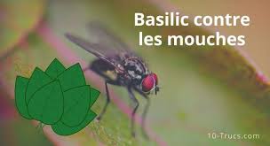 Epingle Sur Astuces Maison
