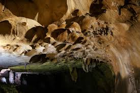 Believed to have existed since 8000 b.c., gua tempurung is probably the largest natural limestone cave in malaysia. Gua Tempurung Hohle In Gopeng Scenic World