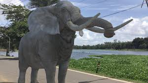 Jun 10, 2018 · download wildlife ar apk 1.0 for android. Ar Real Animals For Android Apk Download