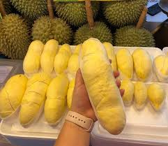 0966003901 dưới quê báo lên có. Ä'áº¿n Thai Lan Loa Máº¯t TrÆ°á»›c Thien Ä'Æ°á»ng Ngáº­p Tran Sáº§u Rieng Vietnamnet