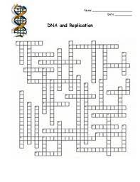 Dna And Replication Crossword Puzzle Crossword Puzzle Transcription And Translation Crossword