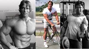 Jul 01, 2021 · arnold schwarzenegger: Das Legendare Training Des Arnold Schwarzeneggers Fitnessmagnet C
