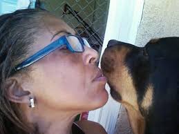 Richard Palmquist, DVM, 721 Centinela Ave, Inglewood, CA 90302, US