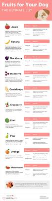 What Fruits Dogs Should Eat The Ultimate List Infographic Fruit Dogs Can Eat Dog Nutrition Dog Diet