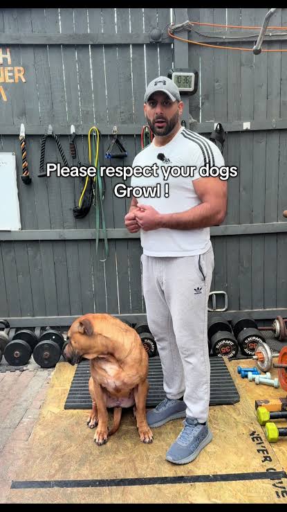 Understanding and Respecting Your Dog's Growl