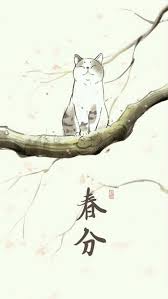 Pin By Kili On Cats Cat Art Cute Art Cats Illustration