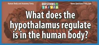 Not everyone knows about the muscles in our bodies like a person who undertakes anatomy class or spends time with people who do. Human Body And Anatomy Trivia Questions And Quizzes