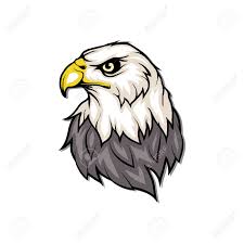 We did not find results for: Bald Eagle Icon Wild Birds Drawing Head Of An Eagle Vector Royalty Free Cliparts Vectors And Stock Illustration Image 100523368