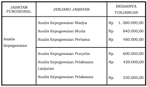 Persyaratan inpassing kedalam jabatan fungsional analis kepegawaian (peraturan kepala badan kepegawaian negara nomor 26 tahun 2018) no. Tunjangan Jabatan Fungsional Analis Kepegawaian Jabatan Fungsional
