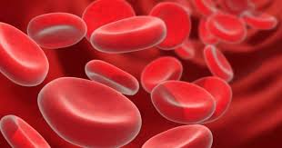 Dengan berat badan 47 kg dan tinggi 1,63 m, pengaplikasian rumus di atas (47 : Norma Hemoglobin Pada Kanak Kanak Mengikut Umur Adalah Jadual Hemoglobin Rendah Dan Tinggi Dalam Kanak Kanak Punca