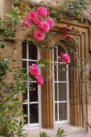 Pin Von Paul Sacia Auf Derriere Les Fenetres Fenster Und Turen Blumen Ana Rosa