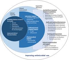 What pediatricians should know carmina a. Using Treatment Guidelines To Improve Antibiotic Use Insights From An Antibiotic Point Prevalence Survey In Kenya Bmj Global Health