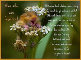 Alles Gute Zum Geburtstag Gluckliche Tiere Susse Hamster Lustige Tiermemes
