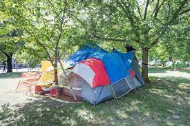View latest posts and stories by @trinitybellwoodspark trinity bellwoods park in instagram. What To Know About The Tent Encampments At Trinity Bellwoods Park
