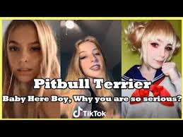 Pitbull Terrier Tiktok Die Antwoord Baby Boy Look At Your Glass Face Why Are You So Serious Youtube