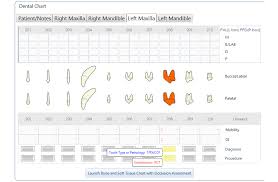 Screenshots Animal Dental Chart