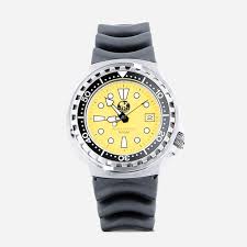 Image result for diving watch