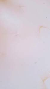 Skatiet 8 sociālās lapas, ieskaitot facebook un google, stundas, tālrunis un sīkāku informāciju par šo biznesu. Decouvre Les Videos Populaires De Kitchen Kake Magic Tiktok