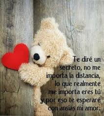 Te Dire En 2020 Frases Bonitas De Amor Frases De Destino Amor Ositos De Amor