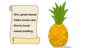 Water your pineapple plant profusely throughout its life. How To Grow A Pineapple 13 Steps With Pictures Wikihow