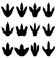 Polish your personal project or design with these dinosaur. Dinosaur Footprints Clipart Images Clipart World