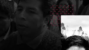 Perfil De Pedro Castillo