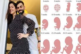 We did not find results for: Anushka Sharma Is Around 4 Months Pregnant Know What All You Can Expect During The Second Trimester