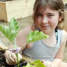 Growing green thumbs in Chagrin Falls