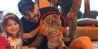 Karim benzema said he was happy with his performance despite a missed. Karim Benzema Posiert Mit Einem Tiger Baby Und Sorgt So Fur Emporung Bei Tierschutzern Holidogtimes