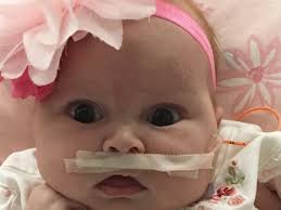 Fundraiser for Seth Allen by Jessica Miller : Ms. Laken Charlotte Allen