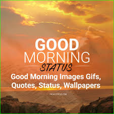 Check spelling or type a new query. 565 Good Morning Images Gifs Quotes Status Wallpapers Download