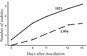 Larissa | irrationally angry lover of poetry and star wars. Sinorhizobium Meliloti Acpxl Mutant Lacks The C28 Hydroxylated Fatty Acid Moiety Of Lipid A And Does Not Express A Slow Migrating Form Of Lipopolysaccharide Journal Of Biological Chemistry