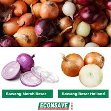 Budidaya bawang bombai (tamanegi),mulai dari tanam, perawatan sampai panen raya dan penanganan hasil. Econsave Buying Guide For Husbands