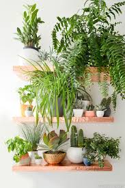 My husband thinks i'm crazy, (yeah, crazy plant lady!) but he supports my love for greenery any way he. Plant Shelf Ideas Decordove