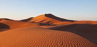 A few centuries ago, humans began to generate curiosity about the possibilities of what may exist outside the land they knew. Desert Appaloosa Mustang Quiz Proprofs Quiz