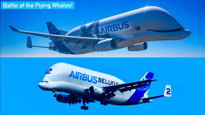 Airbus keeps its production and assembly network operating at full capacity using a fleet of beluga oversize cargo jetliners, including beluga st. Airbus Beluga Xl Vs Beluga Which Airbus Transport Plane Is Best Youtube