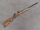 Rifles | Colonial Ammunition Company
