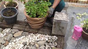 Warta sinau bareng 2 yıl önce. Seni Reka Landskap Membina Taman Mini Landskap Di Ruang Porch Kediaman Youtube