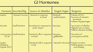 File Gi Hormones Png Wikimedia Commons