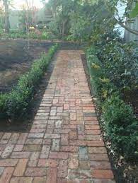 Paving Using Old Canberra Red Bricks With English Box Hedging Plants Paving Us Box Bricks Canberra English He Brick Garden Hedging Plants Garden Paths