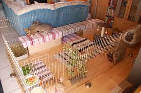 Diese frage kann eindeutig mit einem ja beantwortet werden, denn ein stall alleine reicht für kaninchen. Wohnungsgehege Bauen