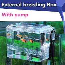 Aquarium Filter Wall Rack Hanging Aquarium Fish Tank Isolation Box Hatcher With Water Pump 3 2w External Breeding Aquarium Fish Tank Aquarium Filter Fish Tank